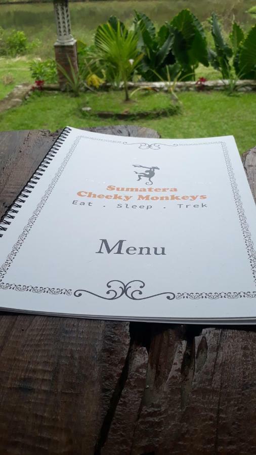 Guest house Sumatra Cheeky Monkeys Bukit Lawang